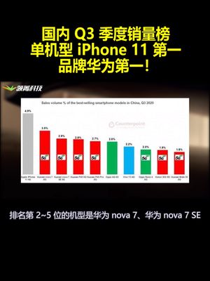国内Q3季度销量榜：单机型iPhone11第一 品牌华为第一！
