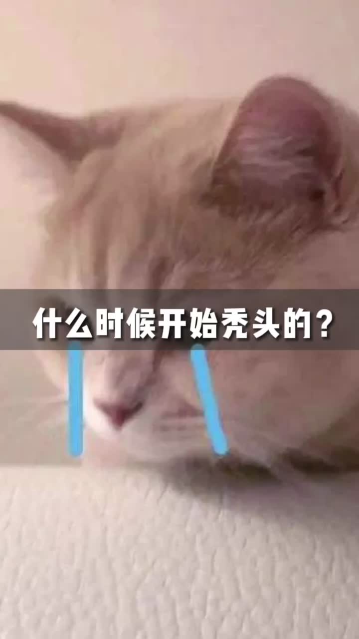 不说了， 那还是遥远的18岁！这是一个悲伤的故事秃真实