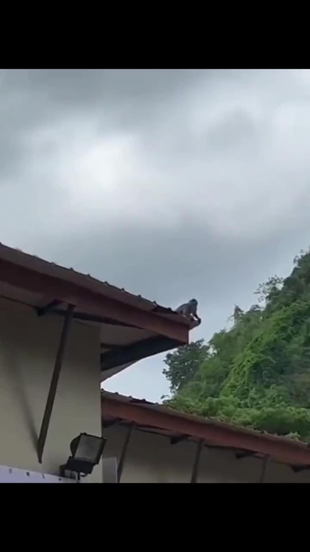 这样出众的蓝牙耳机，不给自己安排一副，就抬不起努力生活的自己的啦数码科技 好物推荐🔥 数码产品