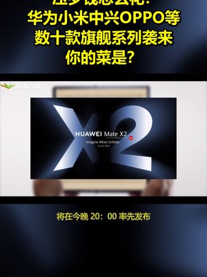 压岁钱怎么花?华为小米中兴 OPPO 等数十款旗舰系列袭来:你的菜是? 智能手机 华为 Redmi