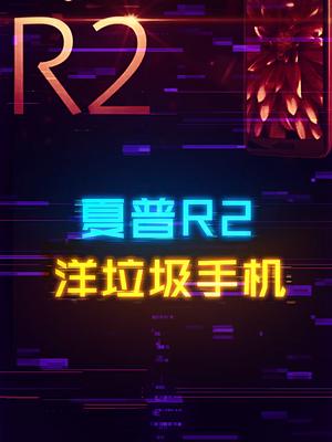 几百块钱就能弄到的2K屏+845处理器洋垃圾手机 手机 数码 科技创梦