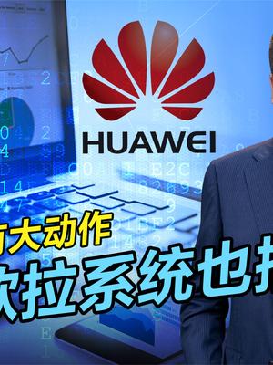 华为再现大格局，捐赠欧拉系统，稳定中国信息产业公共基石 华为 欧拉系统 中国信息产业 华为系统
