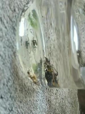 电脑芯片怎么提炼黄金电子元器件ic 电子元器件采购