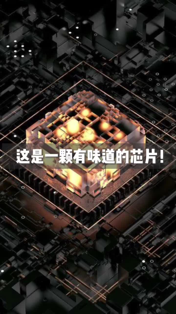 咱就是说，现在这么缺芯片，牛💩芯片不知道能不能顶一顶？芯片 印度研制牛粪芯片 涨知识