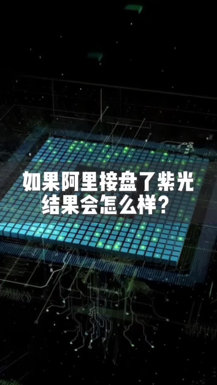 有想法的家人们，评论区见！芯片阿里 紫光集团 科技