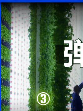 科技创新不只有芯片，更应该关注田间地头农业科技 助农 科技 农业 科技追梦人 ta们的一天