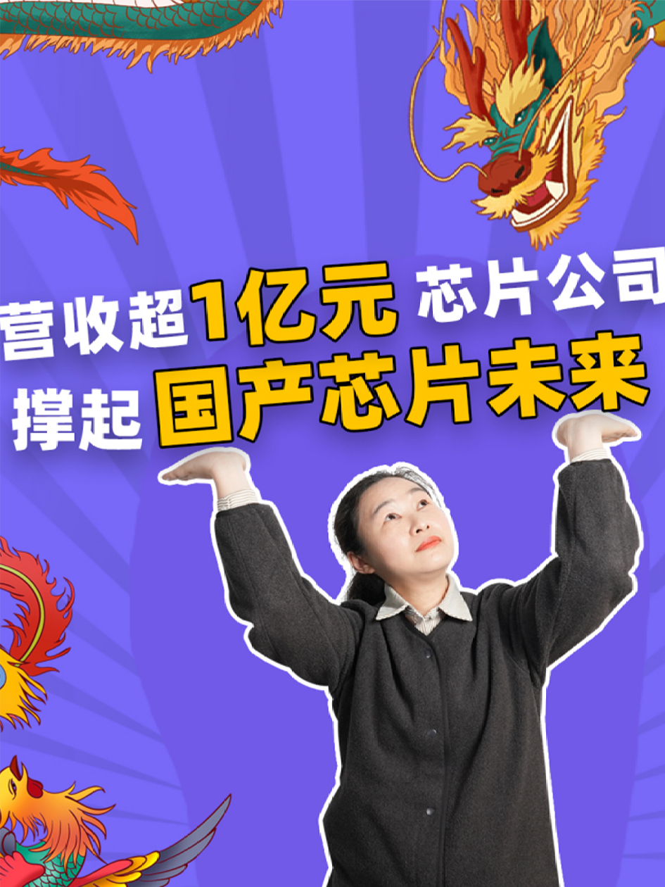 400多家营收超1亿元芯片公司，撑起国产芯片未来 芯片公司 中国芯片