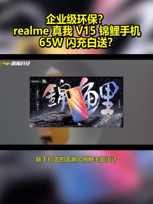 企业级环保？realme 真我 V15 锦鲤手机：65W 闪充白送？ realme真我v15