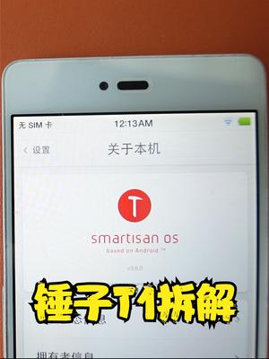 成败皆因太个性，拆解罗永浩的锤子T1手机看设计与做工 手机 罗永浩