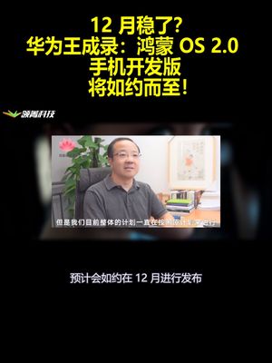 12 月稳了？华为王成录：鸿蒙 OS 2.0 手机开发版将如约而至！
