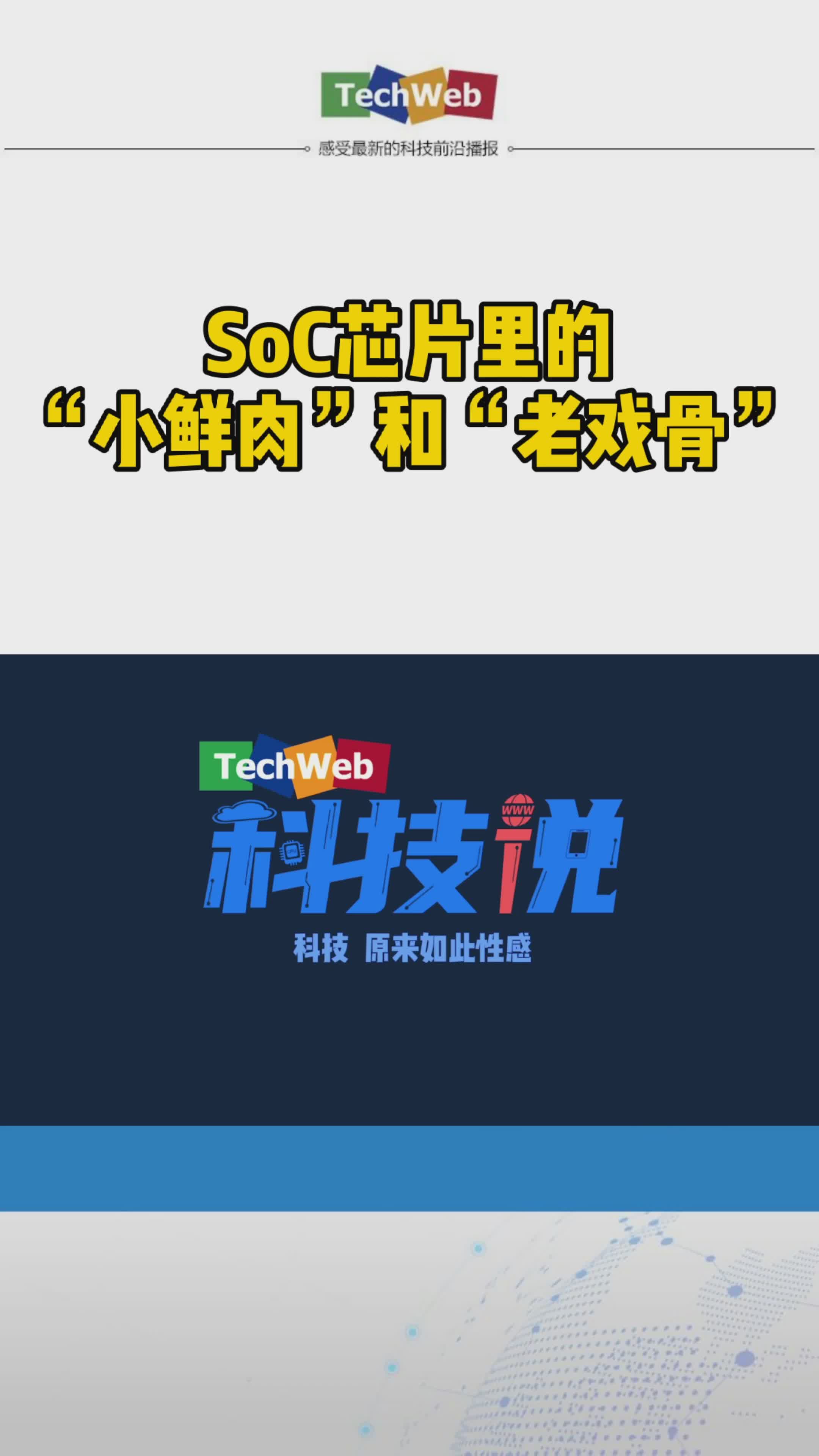 SoC芯片里的“小鲜肉”和“老戏骨”美颜 芯片