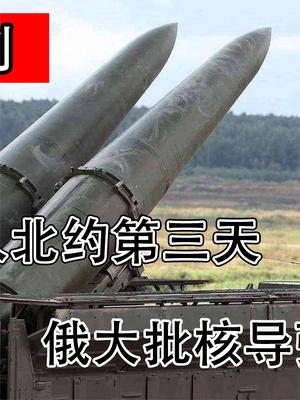 普京说到做到！芬兰宣布加入北约第三天，俄大批核导弹瞄准芬兰