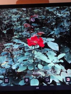 技术贴 | 如何用iPad Pro编辑小视频？