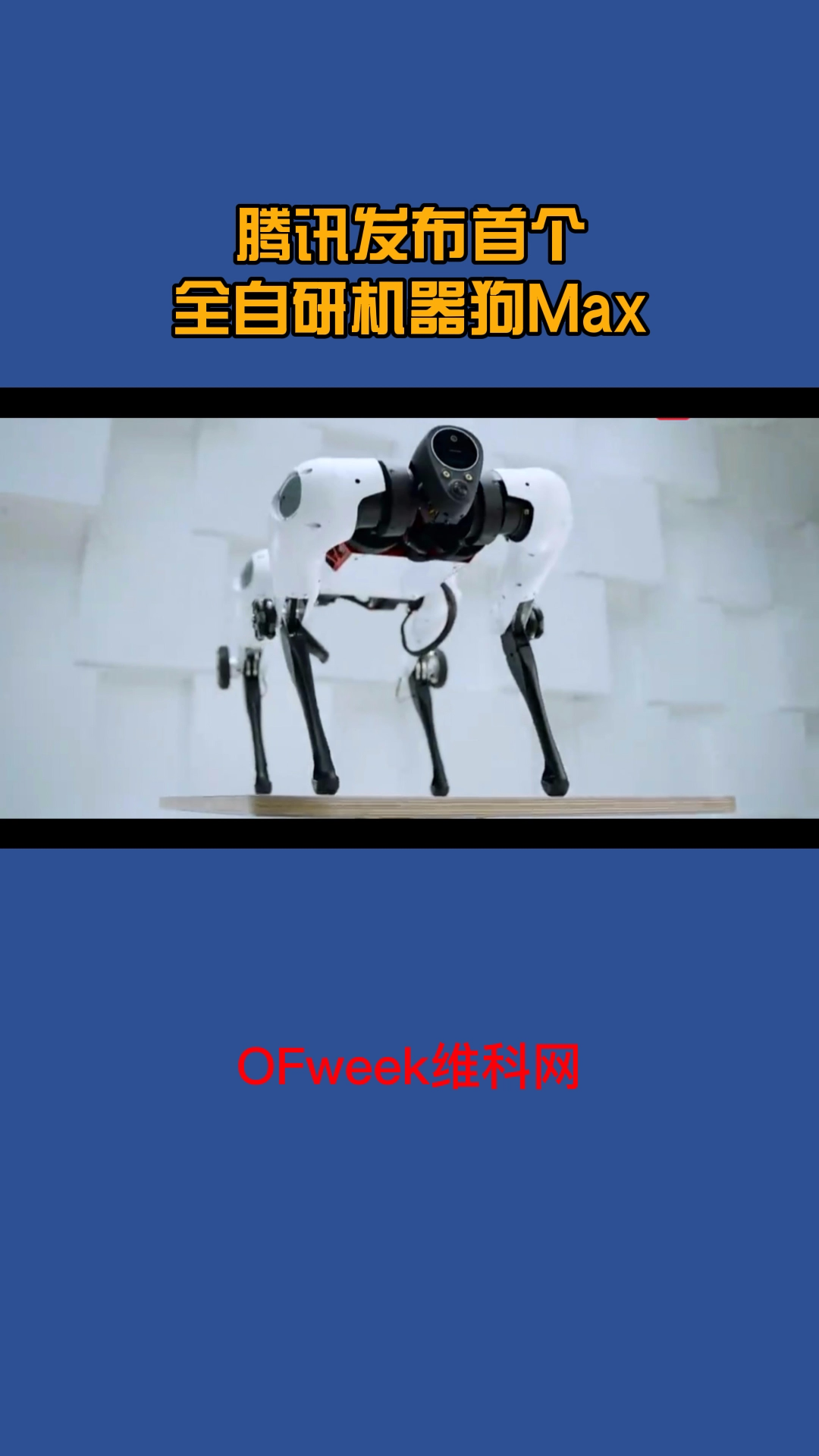 腾讯发布首个机器狗Max，有腿又有轮，还能后空翻，大家觉得怎么样？ 腾讯发布首个全自研机器狗Max 腾讯