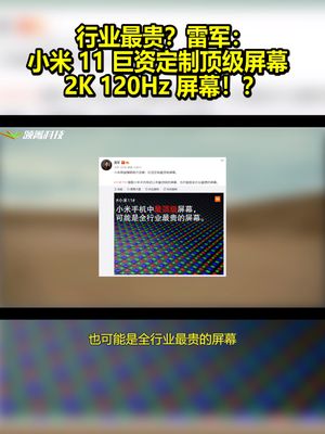 行业最贵？雷军：小米11巨资定制顶级屏幕 2K 120Hz屏幕！？ 小米11