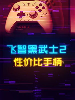 200多的黑武士游戏手柄，性价比之选 飞智 游戏手柄 数码