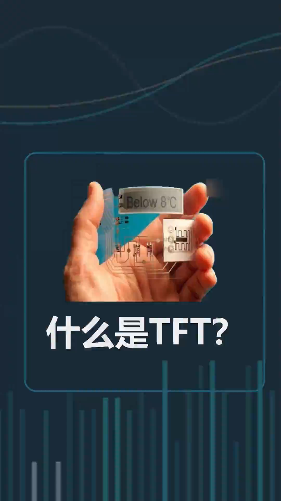 什么是TFT你知道吗?涨知识 科普