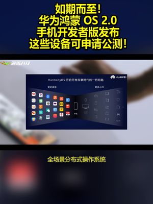如期而至！华为鸿蒙OS2.0手机开发者版发布：这些设备可申请公测！ 华为 鸿蒙