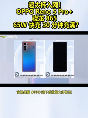 超大杯入网！OPPOReno5Pro+：骁龙86565W快充30分钟充满？ oppo opporeno5