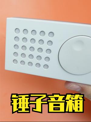 老罗：如果你恰巧财力雄厚，可以买两个组成立体声 电子产品 拆解