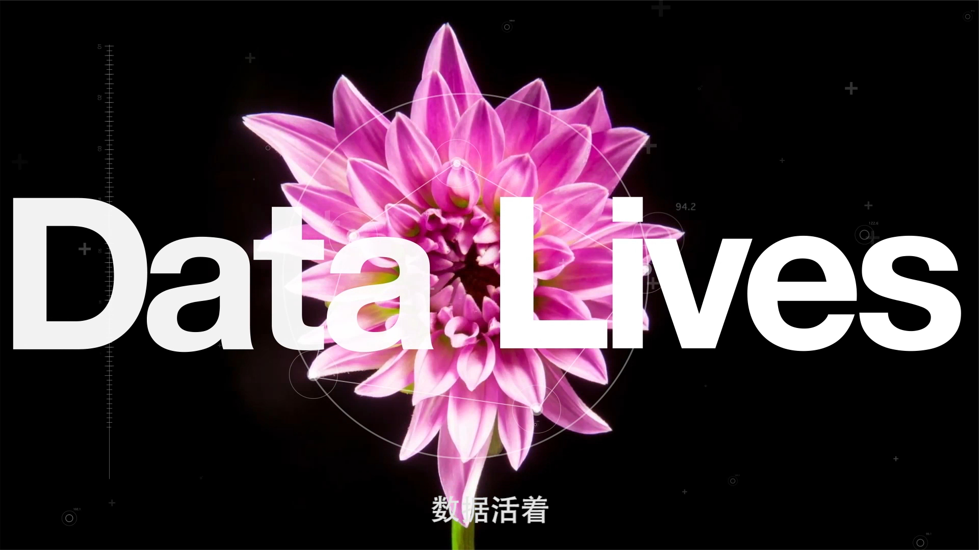 数据栖息之地，有数据的地方就有TA