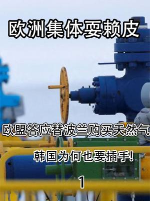 欧洲集体耍赖皮，欧盟答应替波兰购买天然气，韩国为何也要插手？