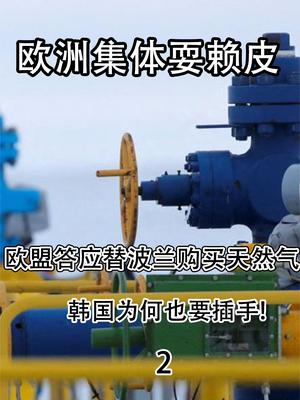 欧洲集体耍赖皮，欧盟答应替波兰购买天然气，韩国为何也要插手？