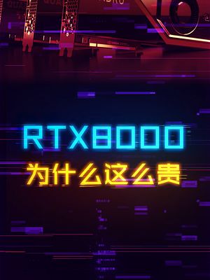 RTX8000为什么能成为最贵的显卡？ 显卡 diy电脑 这个视频有点料