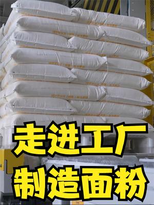走进工厂：面粉是如何制造出来的 五得利面粉集团 制造 知识