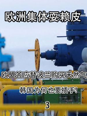 欧洲集体耍赖皮，欧盟答应替波兰购买天然气，韩国为何也要插手？