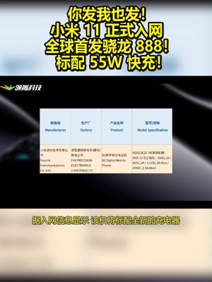 你发我也发！小米11正式入网：全球首发骁龙888！标配55W快充！ 小米11