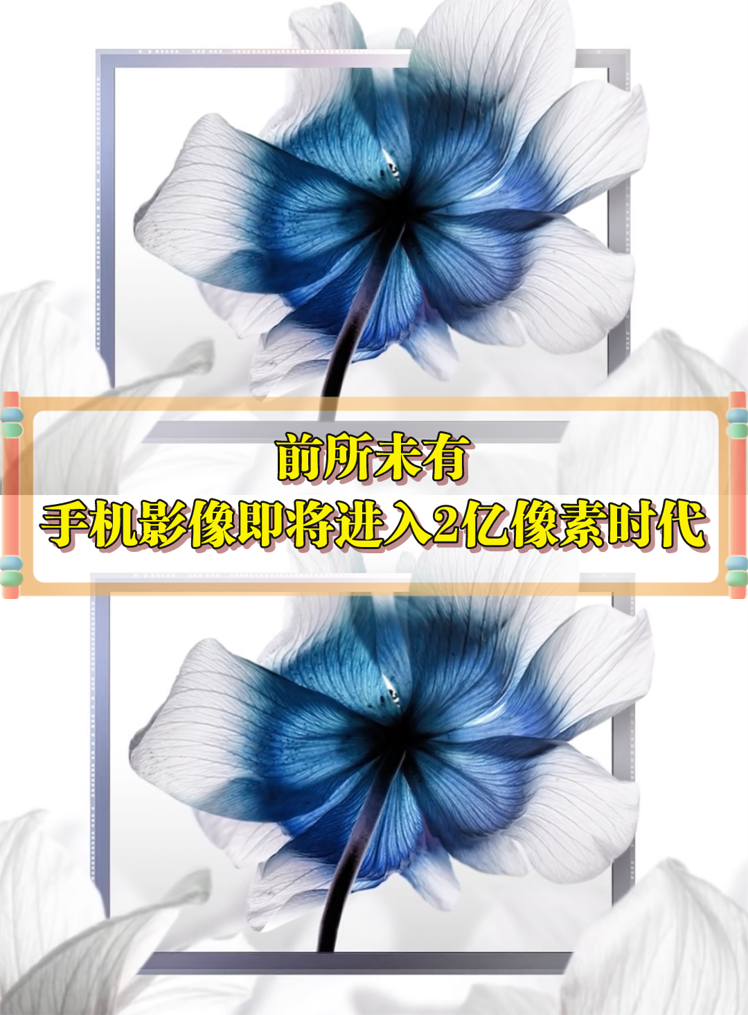 前所未有，手机即将进入2亿像素时代 数码科技 摄影 三星 手机 摩托罗拉 手机即将进入2亿像素时代