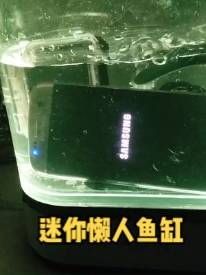 拆解小米优品的迷你懒人鱼缸，感觉除了养鱼放其它东西也不错