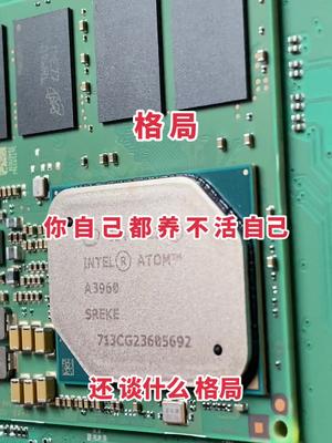 芯片 连接器 电子元器件 继电器 再生资源 格局就是要想养活自己才能提格局