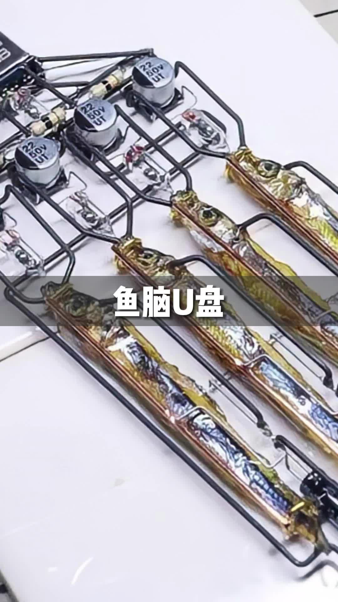 师傅让我弄个内存大些的U盘，搞来了鱼脑U盘，想要内存更大，就多弄几条咸鱼组装在一起，够他老人家用一整年！我是不是很机智~工程师黑科技沙雕