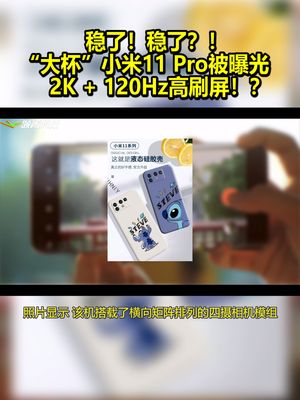 稳了！稳了？“大杯”小米11 Pro被曝光：2K 120Hz高刷屏！