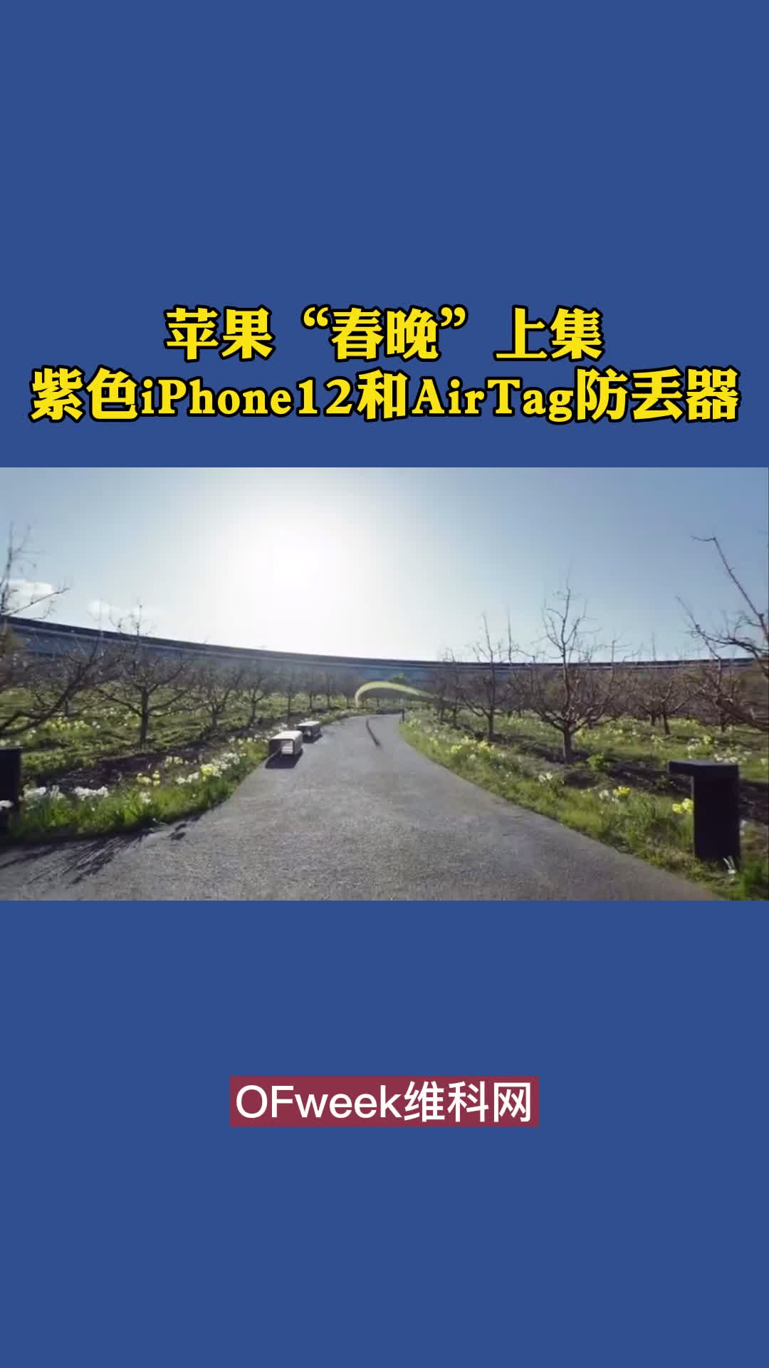 苹果“春晚”上集：紫色iPhone12和AirTag防丢器，香吗？ iphone12 airtag