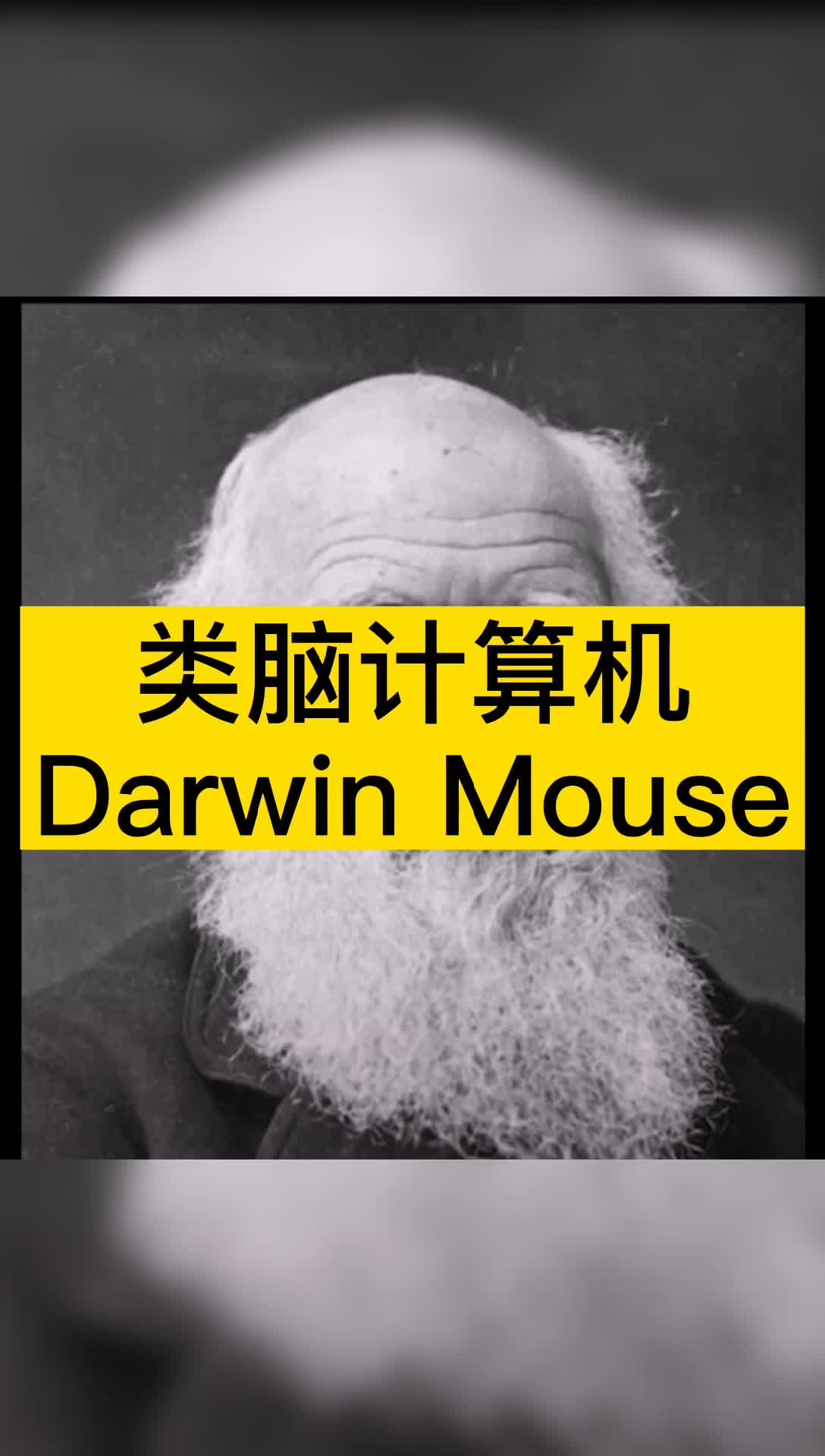 我国成功研制神经元规模最大的类脑计算机浙江大学
