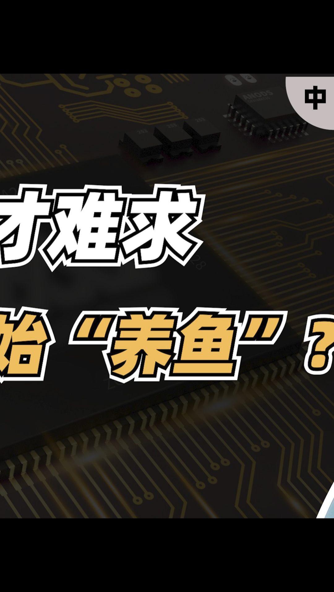 IC人才难求，企业也开始“养鱼”？（中）芯片 半导体 找工作 集成电路芯片 IC设计