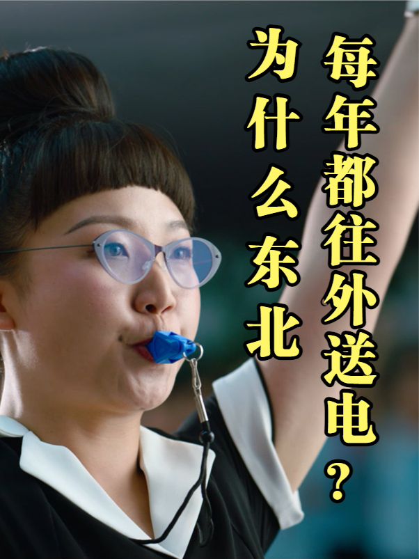 宁南山| 东北缺电还每年都往外送电？ 历史 经济