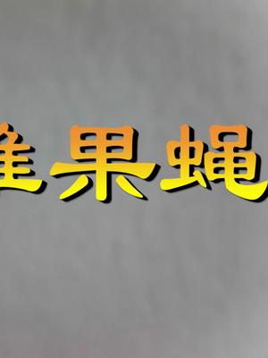放大镜下的世界：果蝇和蚊子的嘴