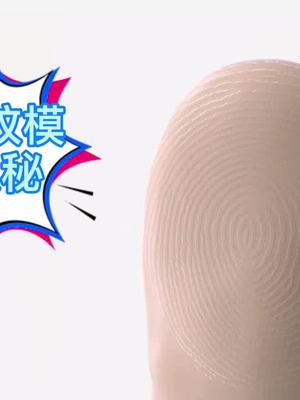 手机指纹模组的奥秘