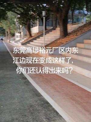 高埗裕元待过的人看过来身边的风景 高埗 裕元鞋厂