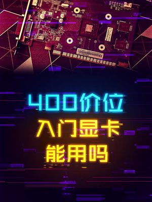 几百价位的入门级显卡到底有没有用？ 显卡 这个视频有点料 轻知识计划