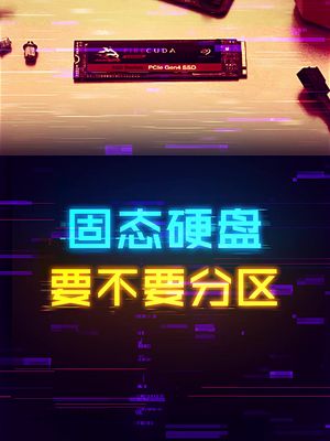 新装的固态硬盘到底需不需要分区使用呢？ 硬盘 这个视频有点料 电脑