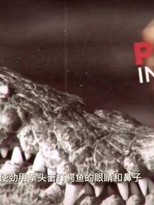 男孩为比他大的女人与鳄鱼搏斗，但是最终结果令人悲惨