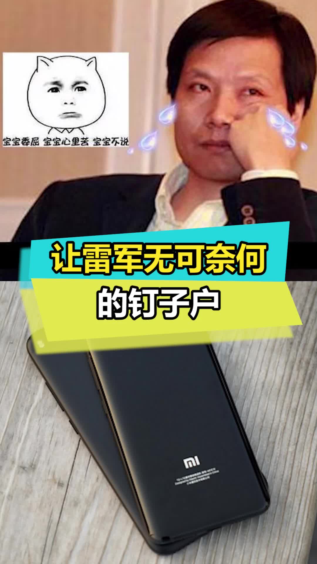气的雷总只能远程施法 雷军 小米 手机