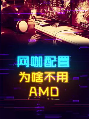 为什么大型网咖和小型网吧都不咋用AMD硬件？ 网吧 这个视频有点料
