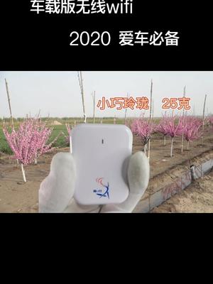 车载版无线wifi，爱车必备！3-5人上网，速度杠杠！数码 手机